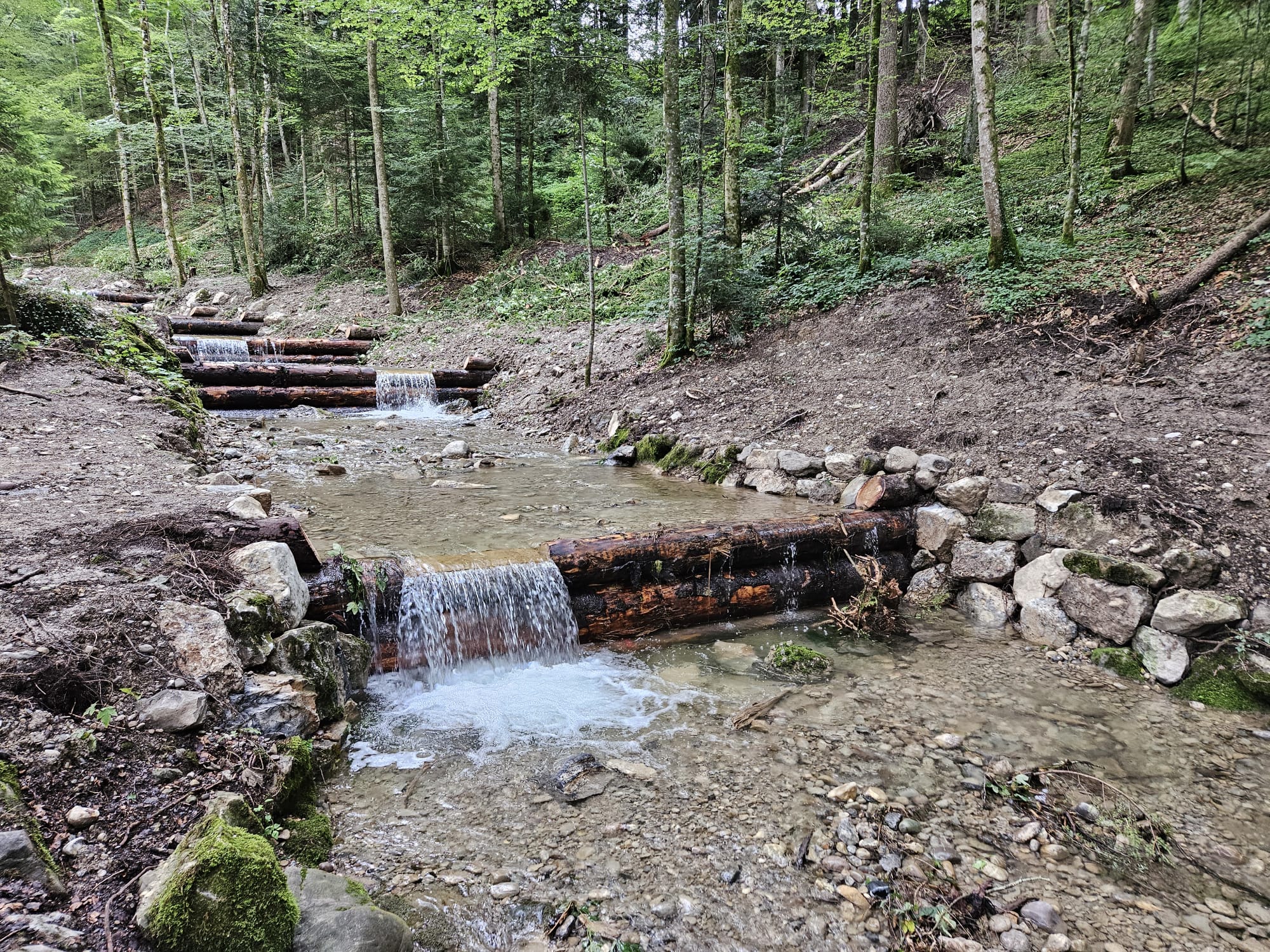Instandhaltung Schmittenbach für die Gemeinde Wald und Eschenbach